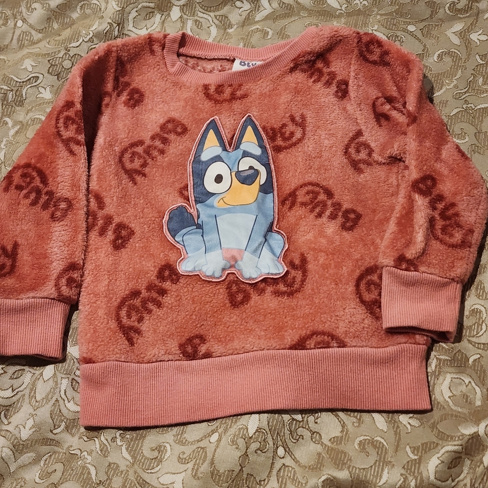 Bluey Toddler Girl Crinkle Sweatshirt, 3T